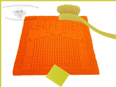 2 Spültuch Waschlappen Deckchen Motive CARPE DIEM + STRICKSTUBE Anleitungen - Stricken