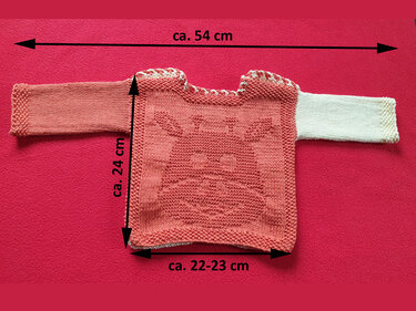 Gestrickter Babypullover mit Tiermotiv; Maße: Höhe ca. 24 cm, Saumbreite ca. 22–23 cm, Breite inkl. Ärmel ca. 54 cm