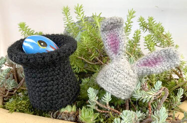 Gehäkelter schwarzer Zylinderhut mit blauem Ei und grauen Hasenohren zwischen Sukkulenten