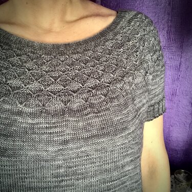 Anleitung Spin Shirt mit Muster-Rundpasse - Bild 4