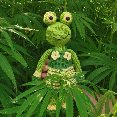 Froggy - crochetpattern frog in overalls