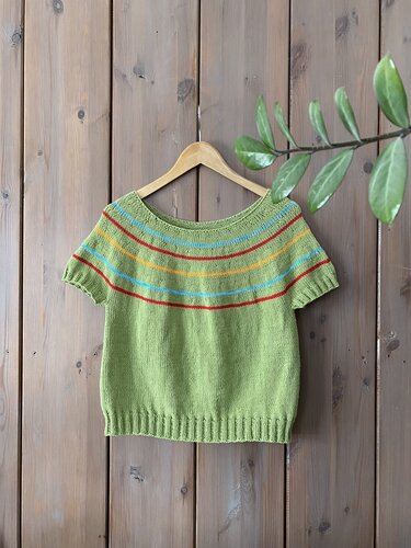 Grünes gestricktes Damen
‑Shirt mit kurzen Ärmeln und bunten Querstreifen an Holzbügel