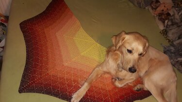 Gehäkeltes Tuch in Rot-, Orange- und Gelbtönen mit Lochmuster, darauf liegt ein Hund.