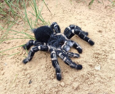 Black and white crocheted spider amigurumi with striped legs on sand