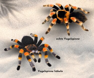 Crocheted  spider. Mexican Redknee Tarantula. PDF Crochet pattern. - Image 4