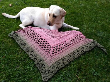 Heller Hund liegt auf grünem Rasen neben einem gehäkelten Dreieckstuch mit Rosa‑zu‑Grün Farbverlauf und verschiedenen Mustern.