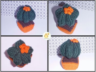 Kleiner Kaktus im Topf, kostenlose Häkelanleitung