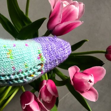 Gestrickte Sockenspitze in Lila und Mint mit bunten Sprenkeln vor pinken Tulpen