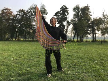 Pagoda Shawl - Crochet