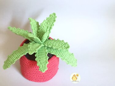 Klorollenhut Aloe Vera, Häkelanleitung