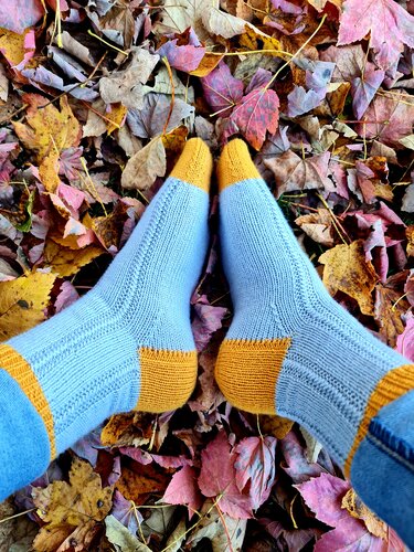 Hellblaue Rippensocken mit senfgelber Ferse und Spitze auf herbstlichen Blättern