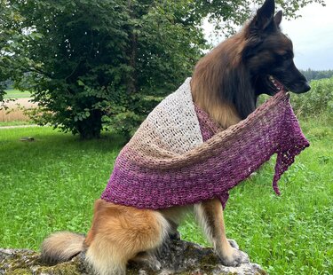 Häkelanleitung Ellie: ein flaches Dreieckstuch mit zartem Muster