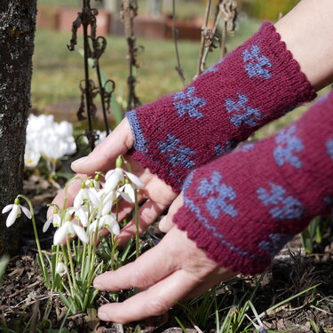 Hände mit bordeauxroten gestrickten Armstulpen mit blauem Blumenmuster neben Schneeglöckchen