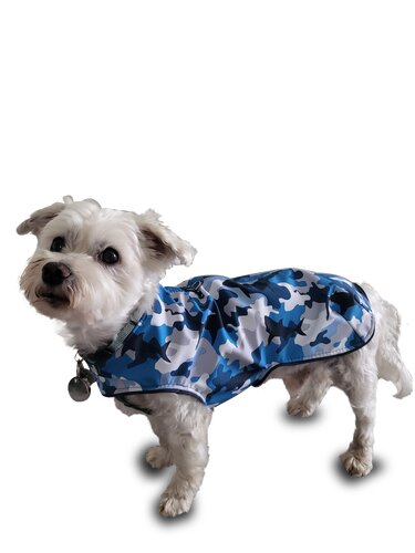 eBook Allwettermantel Hunde - Nähen