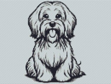 Cross stitch pattern Havanese Buddy, embroider a cute little dog - Embroidery