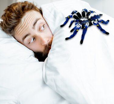 Crochet pattern. Amigurumi Spider. "Poecilotheria Metallica" Tarantula.