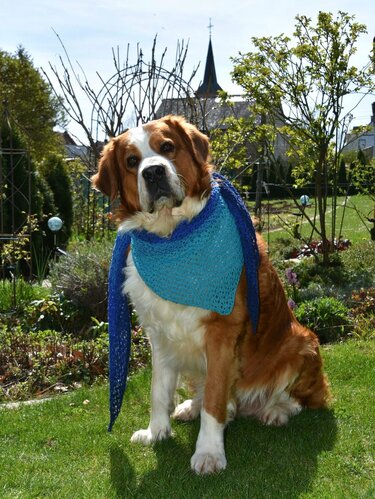 Diamond Drops - Häkelanleitung flaches luftiges Dreieckstuch