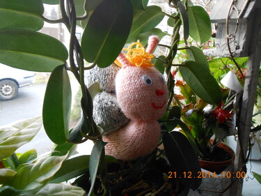 Strickanleitung Schnecke Heidi