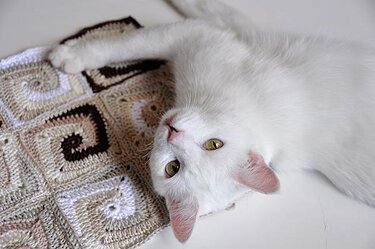 H&auml;kelanleitung * Granny Square "Spirale" - Häkeln