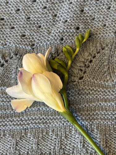 Helle Blüte auf grauem gestricktem Dreieckstuch mit Lochmuster und strukturierter Maschenfolge