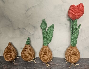 Vier gehäkelte Tulpenzwiebeln in aufsteigender Reihenfolge von Keim bis Blüte
