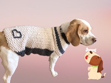 Seitenansicht eines Hundes mit beigem und dunkelgrauem, gestricktem Pullover mit Herz