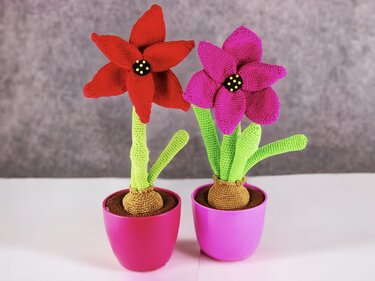 Amaryllis / Ritterstern - Häkelanleitung - Häkeln