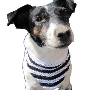 Strickanleitung Hundehalsband Hundetuch für Hunde mittlerer Größe, zum knoten, mit Knopf oder auch Klettverschluss
