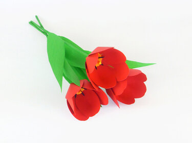 Papierblumen - Tulpen – Bastelanleitung und Vorlagen