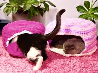 Cat or Dog Cave - Crochet Pattern