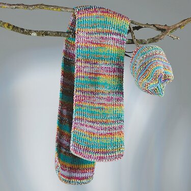 Gestrickter Schal und passende Mütze mit bunten Querstreifen an einem Ast aufgehängt