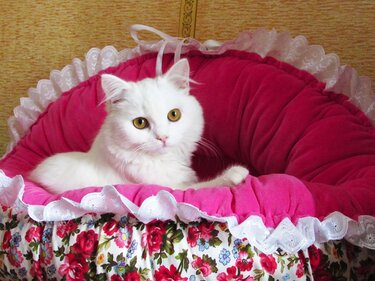 Pat bed, cat's or dog's cushion sewing pattern