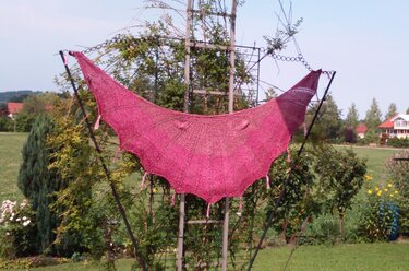 Pink crescent lace shawl stretched on a blocking frame in a garden