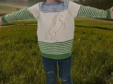 Knitting pattern kids jumper "horse"