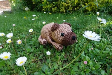 Gehäkelter Amigurumi-Hund in Braun liegt im Gras zwischen weißen Gänseblümchen.