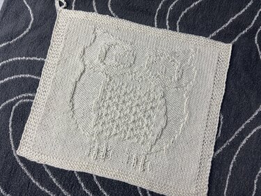 Washcloth "Owl Eugen" – Knitting Instructions