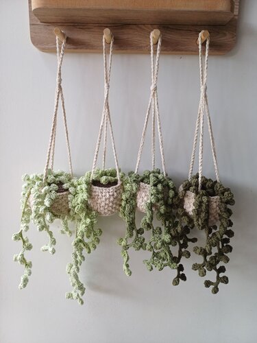 Crochet Pattern, Hanging Sting of Pearls Basket, Succulent Plant Pattern