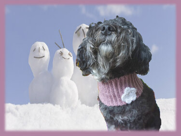 Crochet Pattern for the Dog Loop "Flower"