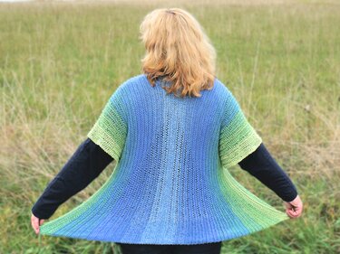 Rear view of a person wearing a swing-style short-sleeve knit tunic in gradient blue and green