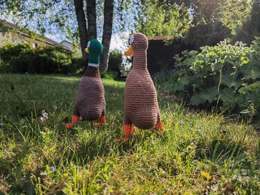 Rückenansicht: zwei gehäkelte Amigurumi-Enten im Gras bei Sonnenschein