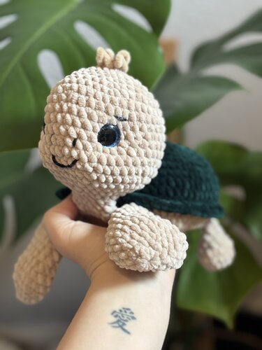 Lumy die Schildkröte