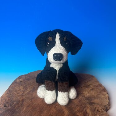 Appenzell Mountain Dog Swiss Amigurumi crochet pattern | sitting dog | PDF