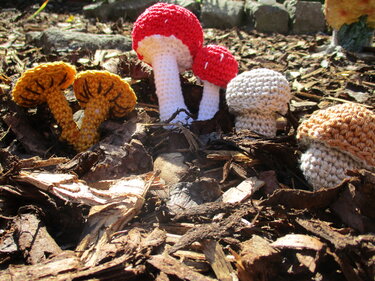 Mehrere kleine gehäkelte Pilze in Rot, Gelb und Beige auf Rindenmulch
