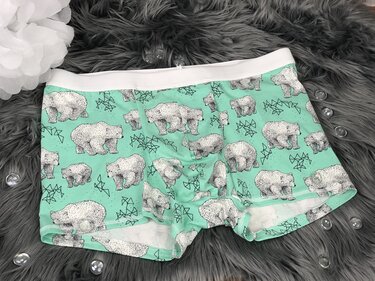 Nähbeispiel Herrenboxer mintgrün mit allover Bärenmuster und weißem Bund