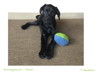 Speik Ball u. Rugby Ball Anleitung + Schnitt, 2 Gr. - Nähen