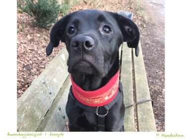 KIRA infinity scarf, made-to-measure, Sewing Tutorial