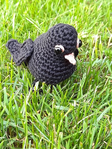 Schwarzer Amigurumi-Vogel mit hellem Schnabel und Knopfaugen im Gras