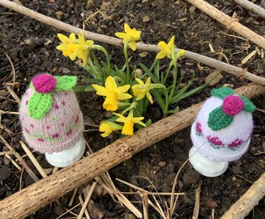 Zwei gestrickte Eierwärmer mit Blattapplikationen und Punktmuster auf Eierbechern neben gelben Narzissen