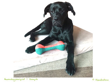 Sammie Dumbbell, Toy and Training, Sewing Pattern