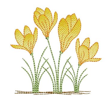 Stickmotiv mit vier gelben Krokusblüten und grünen Halmen